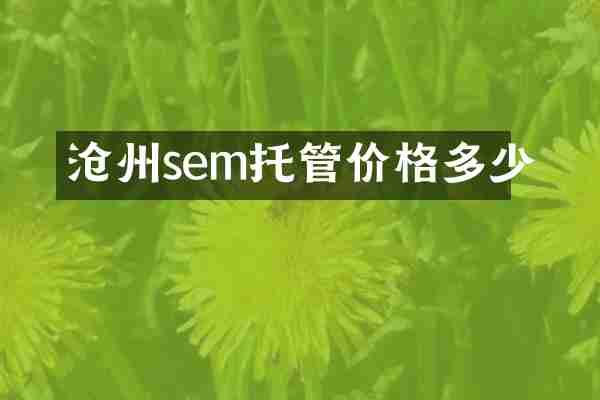 沧州sem托管价格多少