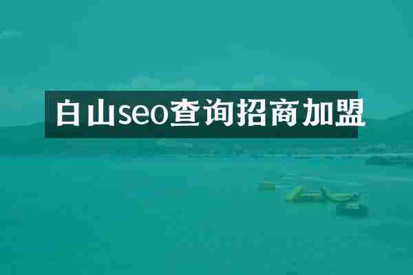 白山seo查询招商加盟