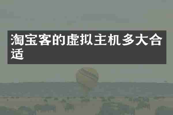淘宝客的虚拟主机多大合适