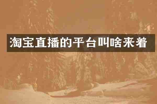 淘宝直播的平台叫啥来着