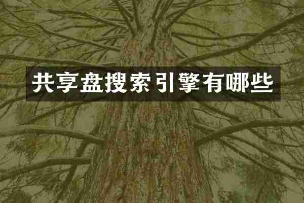 共享盘搜索引擎有哪些