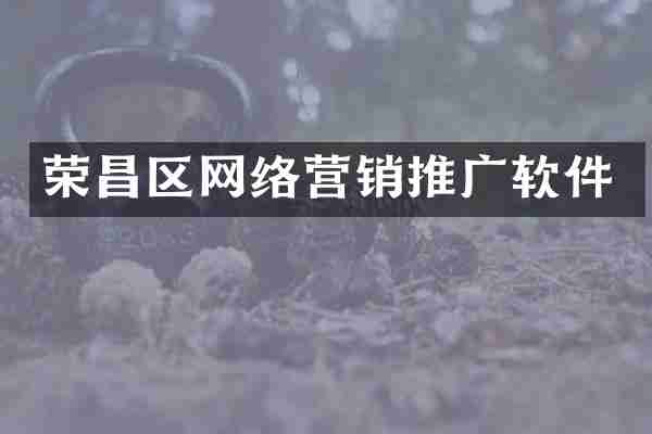 荣昌区网络营销推广软件