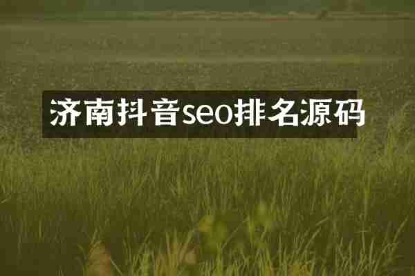 济南抖音seo排名源码
