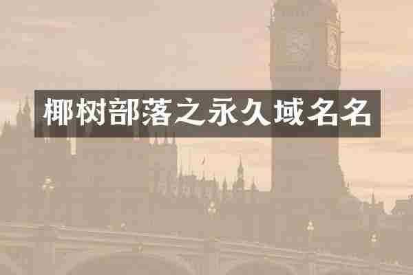 椰树部落之永久域名名