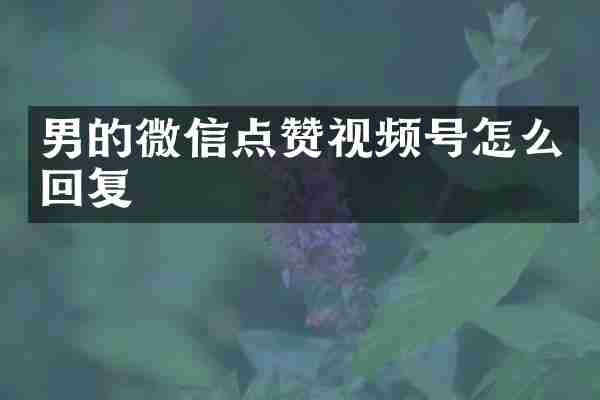 男的微信点赞视频号怎么回复