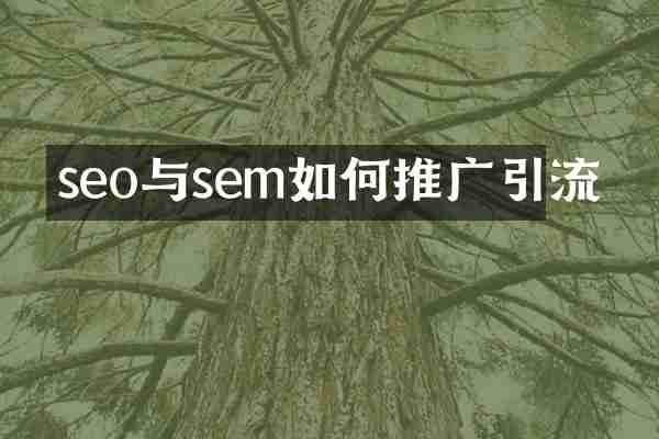 seo与sem如何推广引流