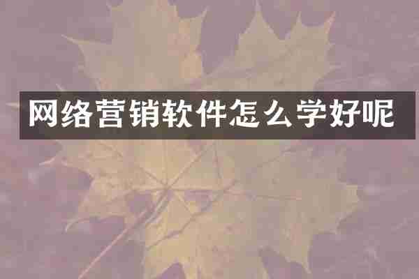 网络营销软件怎么学好呢
