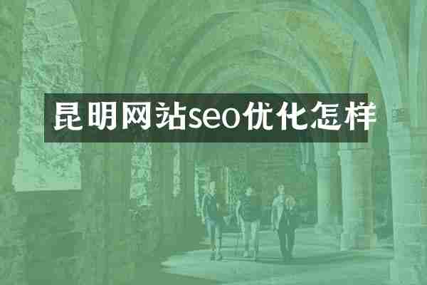 昆明网站seo优化怎样
