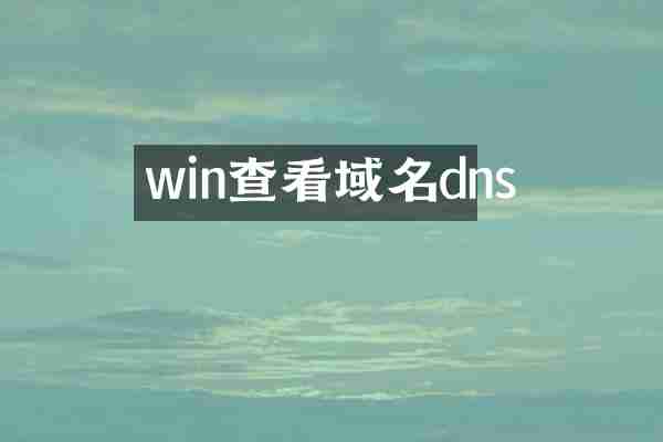 win查看域名dns