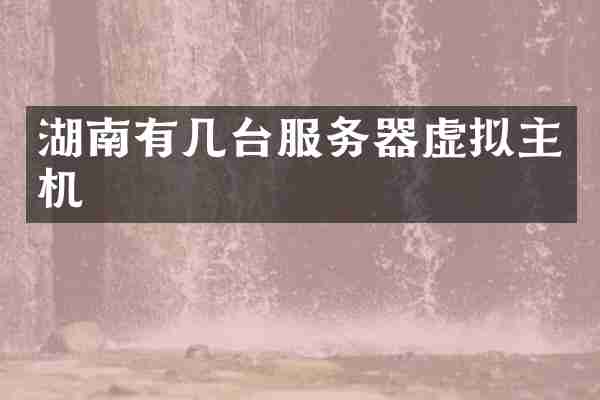 湖南有几台服务器虚拟主机