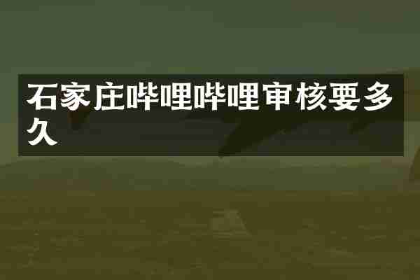 石家庄哔哩哔哩审核要多久