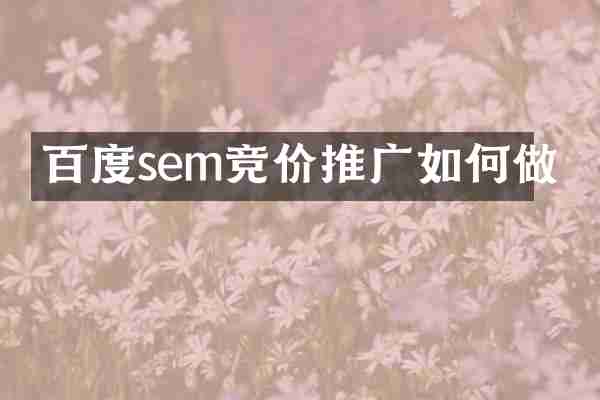 百度sem竞价推广如何做