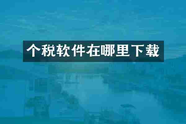 个税软件在哪里下载