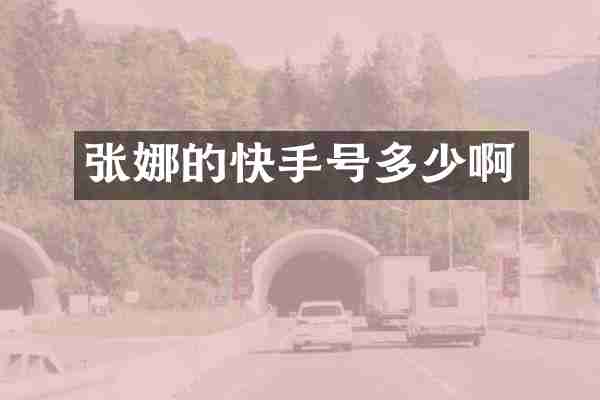 张娜的快手号多少啊