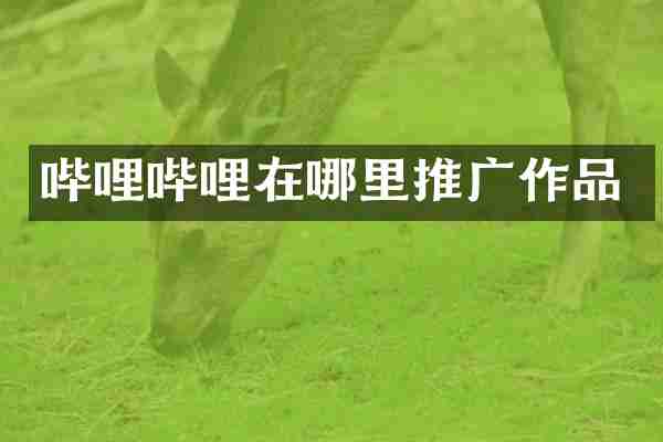 哔哩哔哩在哪里推广作品