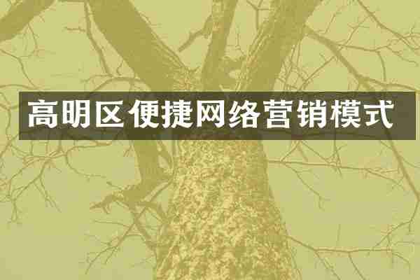 高明区便捷网络营销模式