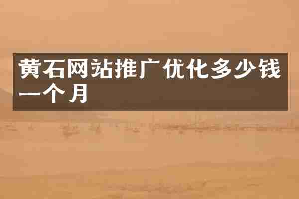 黄石网站推广优化多少钱一个月