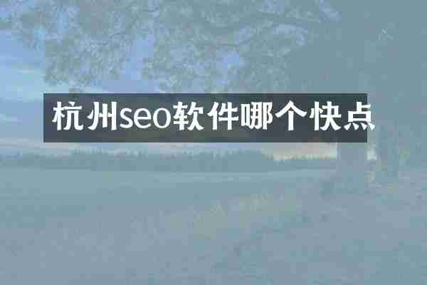 杭州seo软件哪个快点