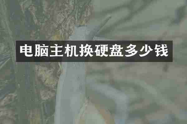 电脑主机换硬盘多少钱