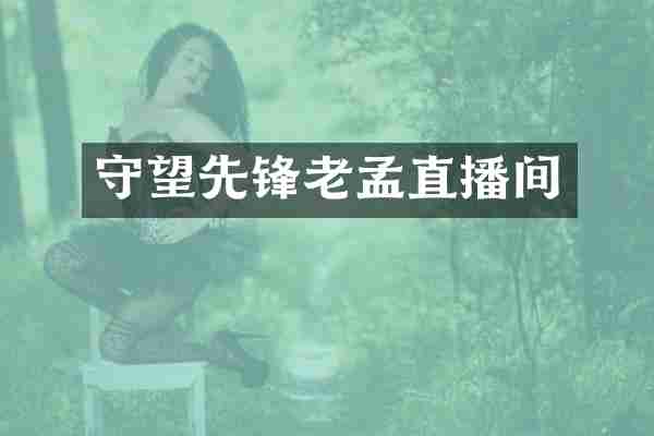 守望先锋老孟直播间