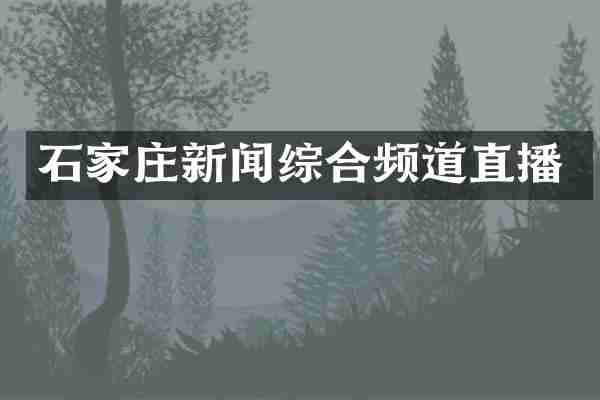 石家庄新闻综合频道直播