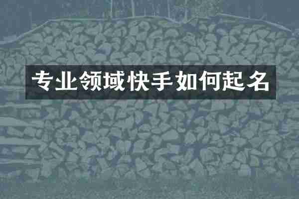 专业领域快手如何起名