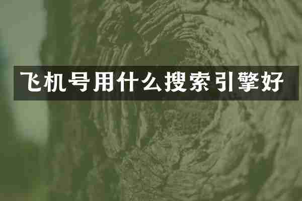 飞机号用什么搜索引擎好