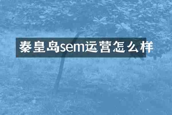 秦皇岛sem运营怎么样
