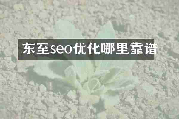 东至seo优化哪里靠谱