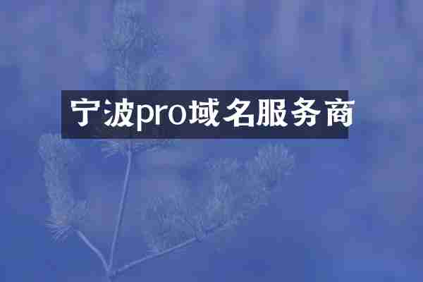 宁波pro域名服务商