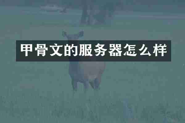 甲骨文的服务器怎么样