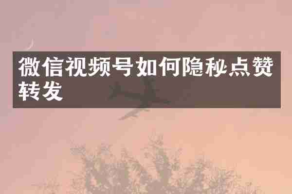 微信视频号如何隐秘点赞转发