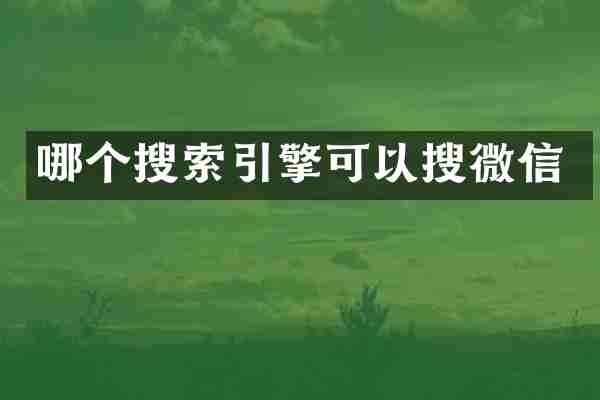 哪个搜索引擎可以搜微信