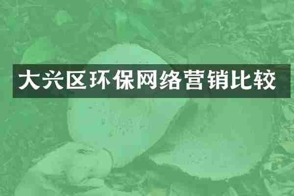 大兴区环保网络营销比较