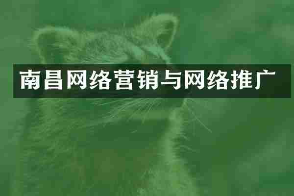 南昌网络营销与网络推广