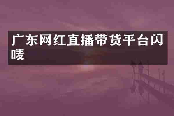 广东网红直播带货平台闪唛