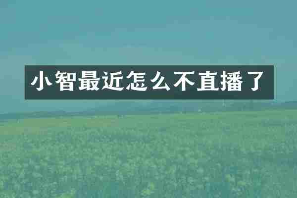 小智最近怎么不直播了