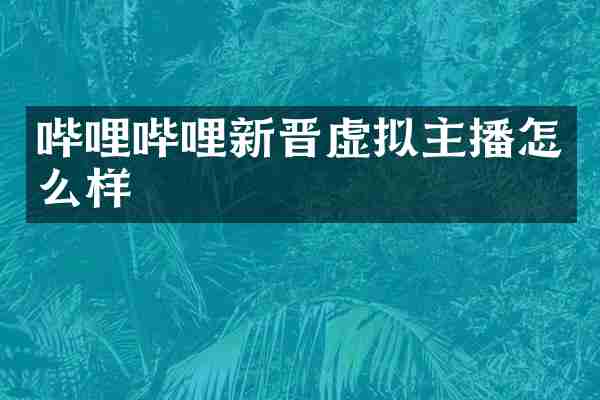 哔哩哔哩新晋虚拟主播怎么样