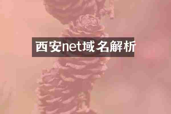 西安net域名解析
