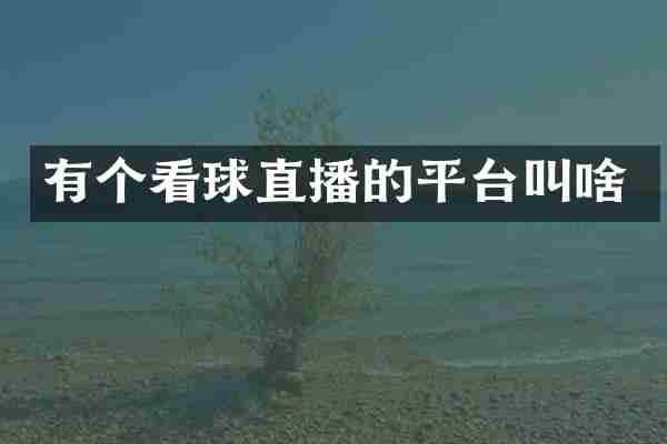 有个看球直播的平台叫啥