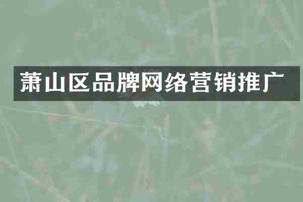 萧山区品牌网络营销推广