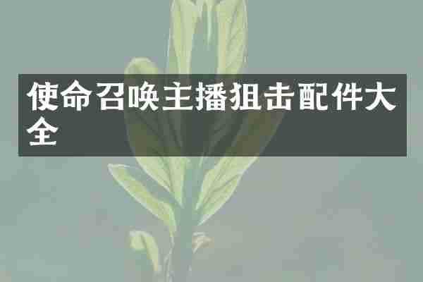 使命召唤主播狙击配件大全