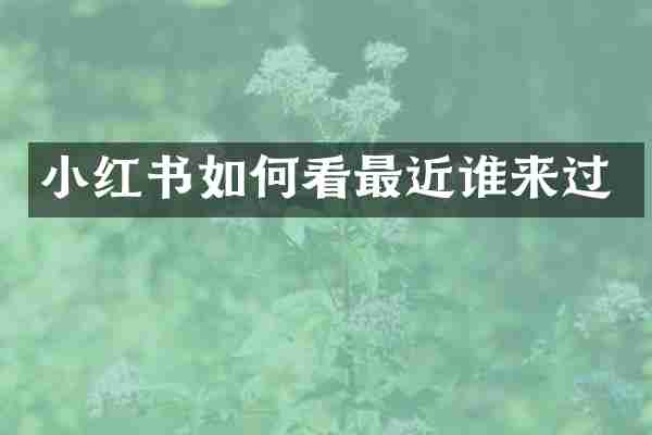 小红书如何看最近谁来过