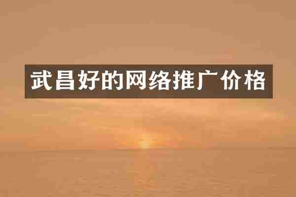 武昌好的网络推广价格