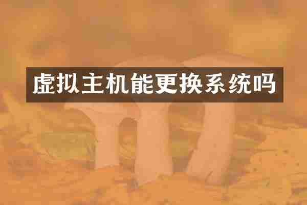 虚拟主机能更换系统吗