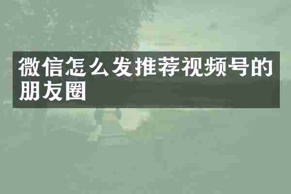 微信怎么发推荐视频号的朋友圈