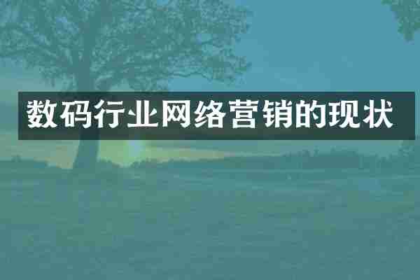 数码行业网络营销的现状