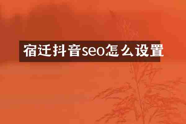 宿迁抖音seo怎么设置