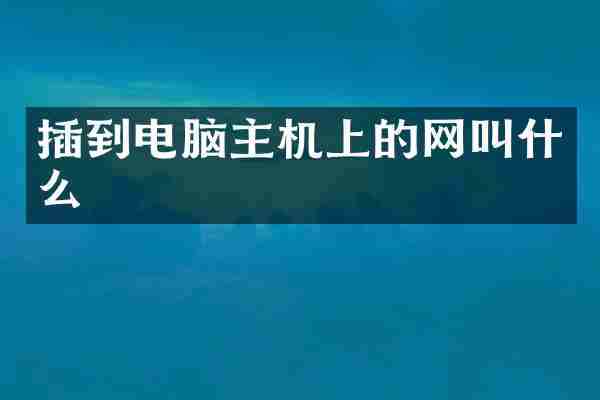 插到电脑主机上的网叫什么