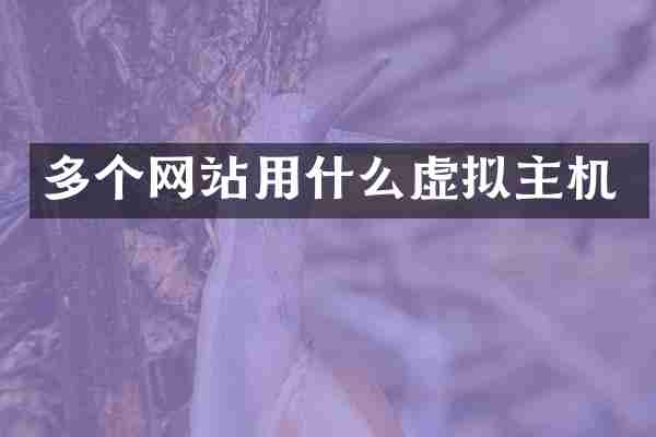 多个网站用什么虚拟主机
